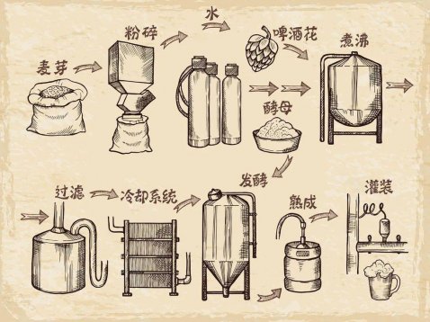 關(guān)于啤酒的知識(shí)，看這一文就夠了